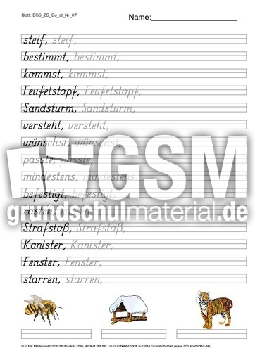 DSS_2S_Bu_st_Nr_07.pdf